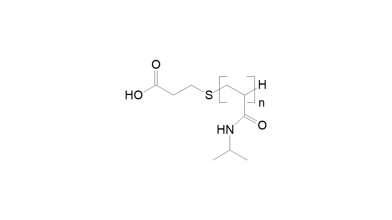 Poly(NiPAAm) carboxylic acid terminated thumbnail