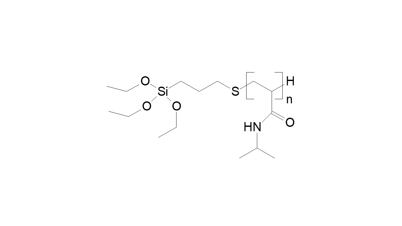 Poly(NiPAAm) triethoxysilane terminated thumbnail
